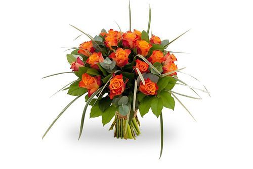 rosa orange