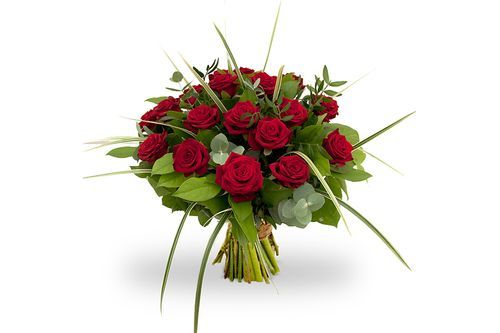 rosa red