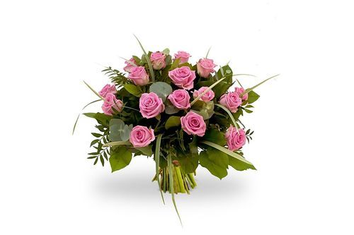 rosa pink