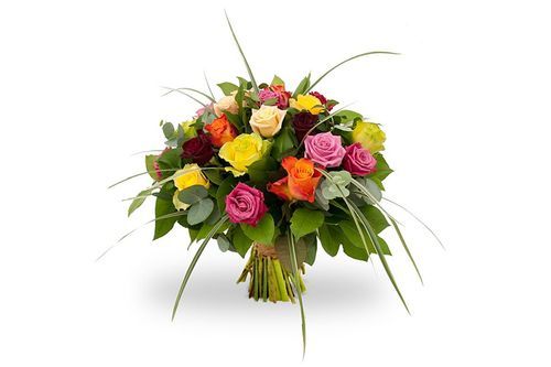 rosa mixed
